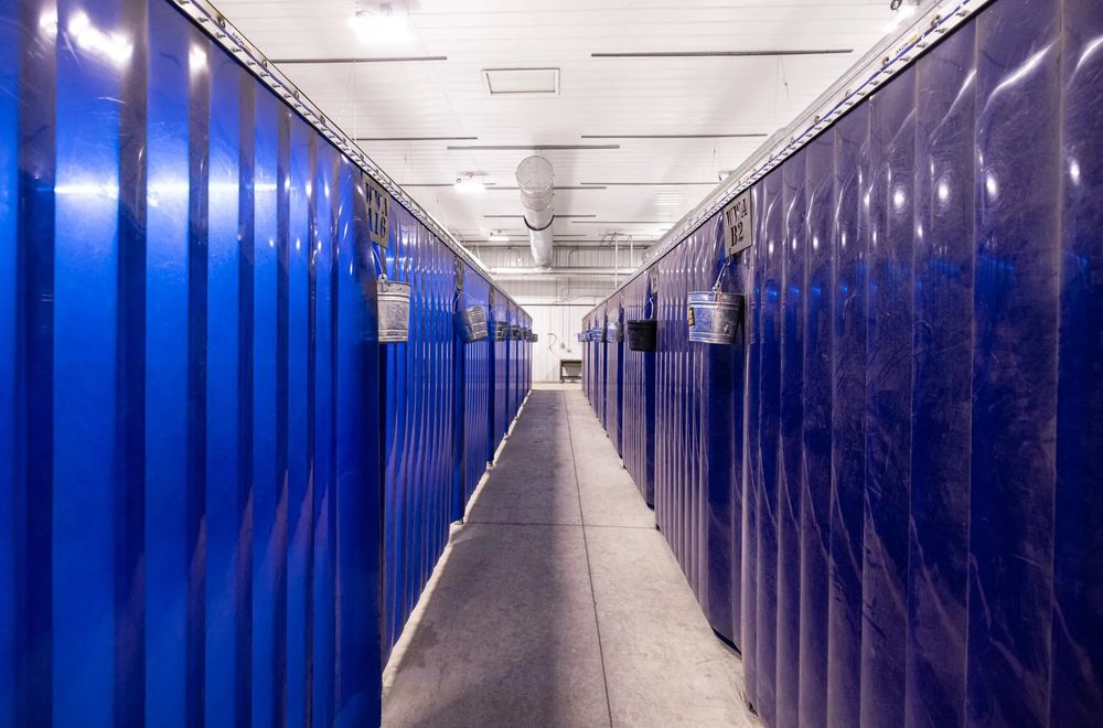 Row of blue welding booths at Western Welding Academy
